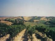 Proprietà rustica in vendita di 261 m² in Via Santa...