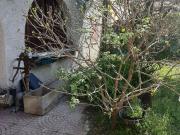 Proprietà rustica in vendita di 283 m² in Via Pelosa