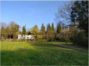 Proprietà rustica in vendita di 345 m² in Via di Castagneto