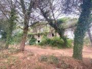 Proprietà rustica in vendita di 350 m² in Via Vitellino, 72