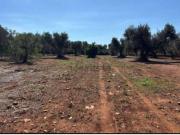 Casa di campagna in vendita di 3800 m² in Strada...