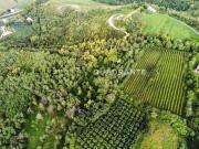 Proprietà rustica in vendita di 38717 m² in Via Papafave