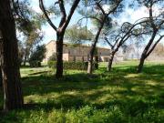 Proprietà rustica in vendita di 3890 m²