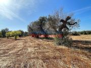 Proprietà rustica in vendita di 40 m²