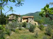 Proprietà rustica in vendita di 438 m² in Via del Conventino