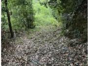 Proprietà rustica in vendita di 46462 m²