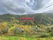 Proprietà rustica in vendita di 46 m² in Via del Castello