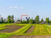 Proprietà rustica in vendita di 500 m² in Via Malombra