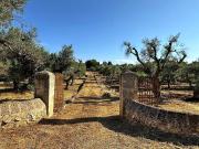 Proprietà rustica in vendita di 50 m² in Contrada Catanzani