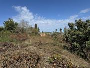 Proprietà rustica in vendita di 50 m² in Località Gesso