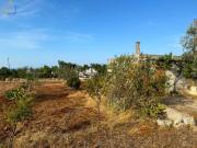 Proprietà rustica in vendita di 5320 m² in Strada Senza Nome