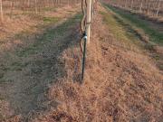 Proprietà rustica in vendita di 60000 m²