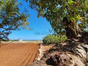 Proprietà rustica in vendita di 6015 m² in Strada...