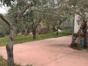 Proprietà rustica in vendita di 60 m² in Contrada Dicchiara