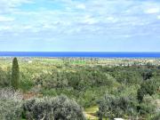 Proprietà rustica in vendita di 7530 m²