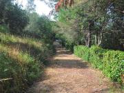 Proprietà rustica in vendita di 75 m² in Via Sgarallino