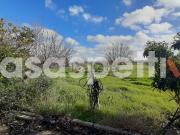 Casa di campagna in vendita di 780 m² in Via Vescovo...