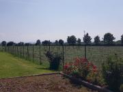 Proprietà rustica in vendita di 850 m² in Strada Donnino