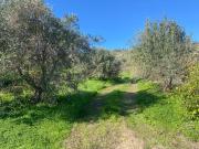 Proprietà rustica in vendita di 8544 m²