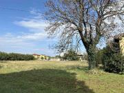 Proprietà rustica in vendita di 993 m² in Via Roma, 68