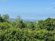 Propriété 10 pièces 222 m²