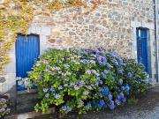 Propriété 10 pièces 300 m²