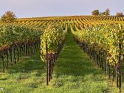 Propriété 10 pièces 390 m²