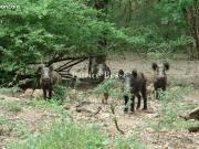 Propriété 12 pièces 400 m²