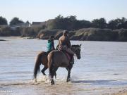 Propriété 12 pièces 418 m²