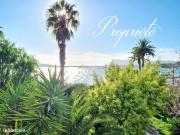 Propriété 13 pièces 305 m²