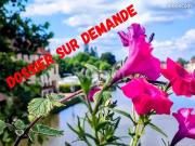 Propriété 14 pièces 470 m²