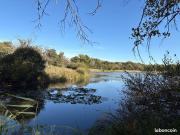 Propriété 25 m² Neuillay les Bois