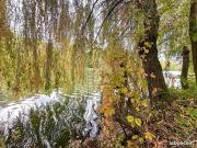 Propriété 3 pièces 82 m²