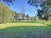 Propriété 5 hectares Villa et dépendances: 331 m2...