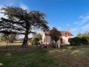 Propriété 5 pièces 115 m²