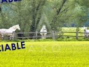 Propriété 5 pièces 240 m²