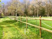 Propriété avec jardin