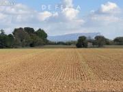 Propriété 6 pièces 162 m²