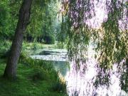 Propriété 7 pièces 180 m²