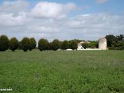 Propriété 8 pièces 168 m²