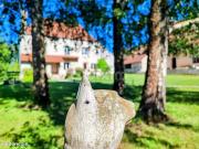 Propriété 8 pièces 240 m²