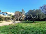 Propriété 8 pièces 356 m²