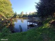 Propriété 9 pièces 10556 m²