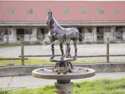 Propriété 9 pièces 220 m²