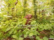 Propriété 9 pièces 250 m²