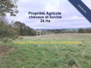 Propriété Agricole: 23 ha chevaux et bovins