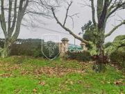 Propriété avec jardin