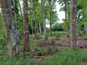 Propriété avec jardin