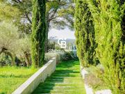 Propriété avec piscine