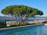 Propriété avec piscine